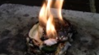 Red Hot Nickel Ball vs. Peeps: Fiery Death Has Never Been So Adorable